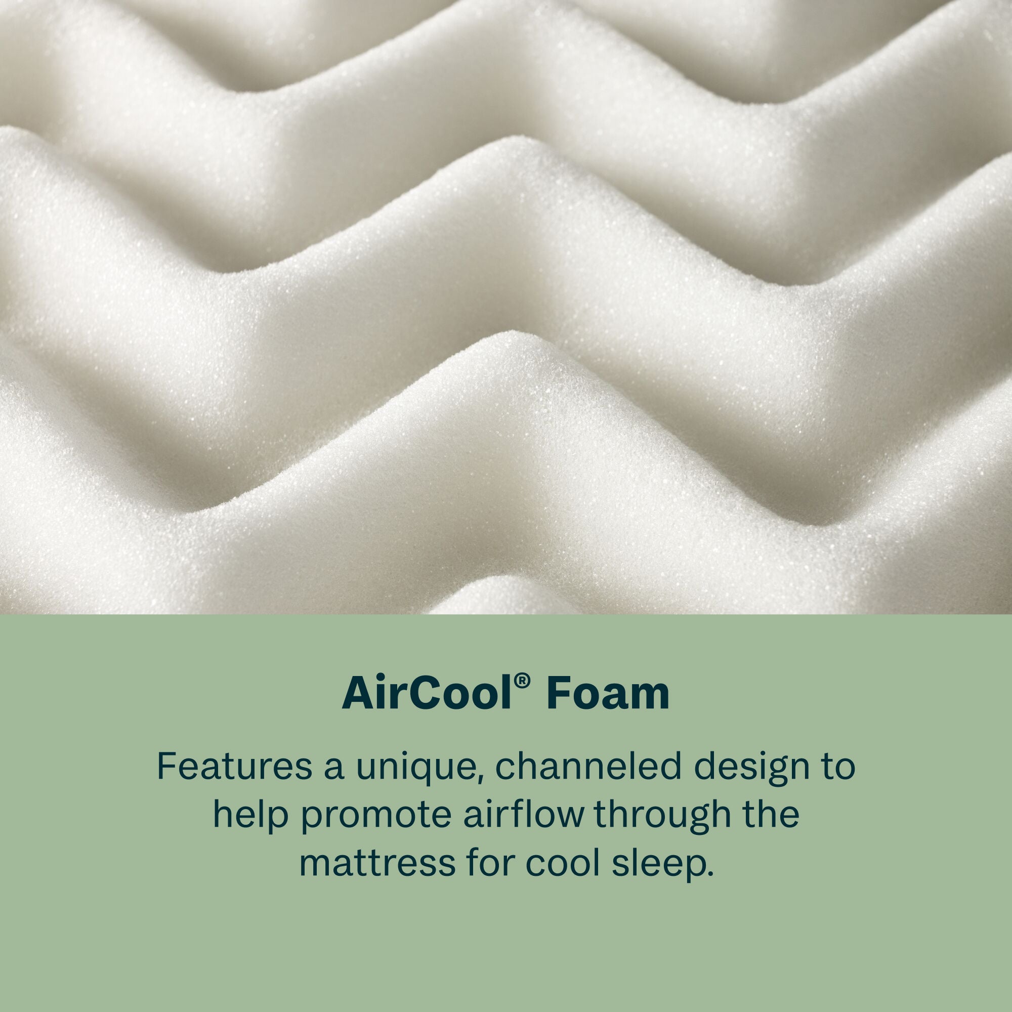 BeautySleep® by Beautyrest® Soothing Nights™ Mattress In A Box